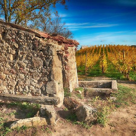 Condrieu Comme A La Maison Кондриё Экстерьер фото