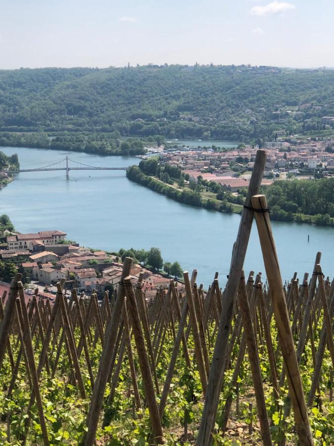 Condrieu Comme A La Maison Кондриё Экстерьер фото