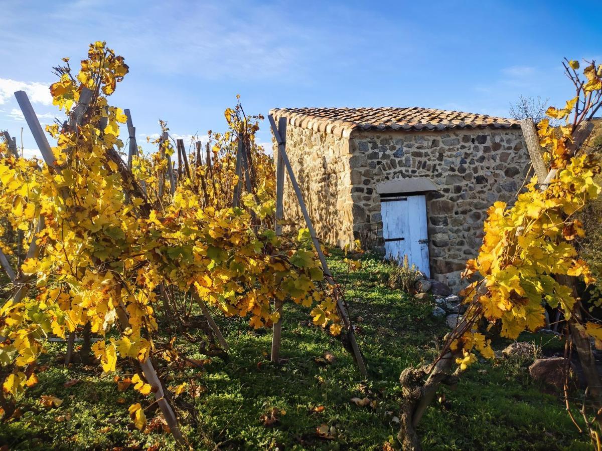 Condrieu Comme A La Maison Кондриё Экстерьер фото