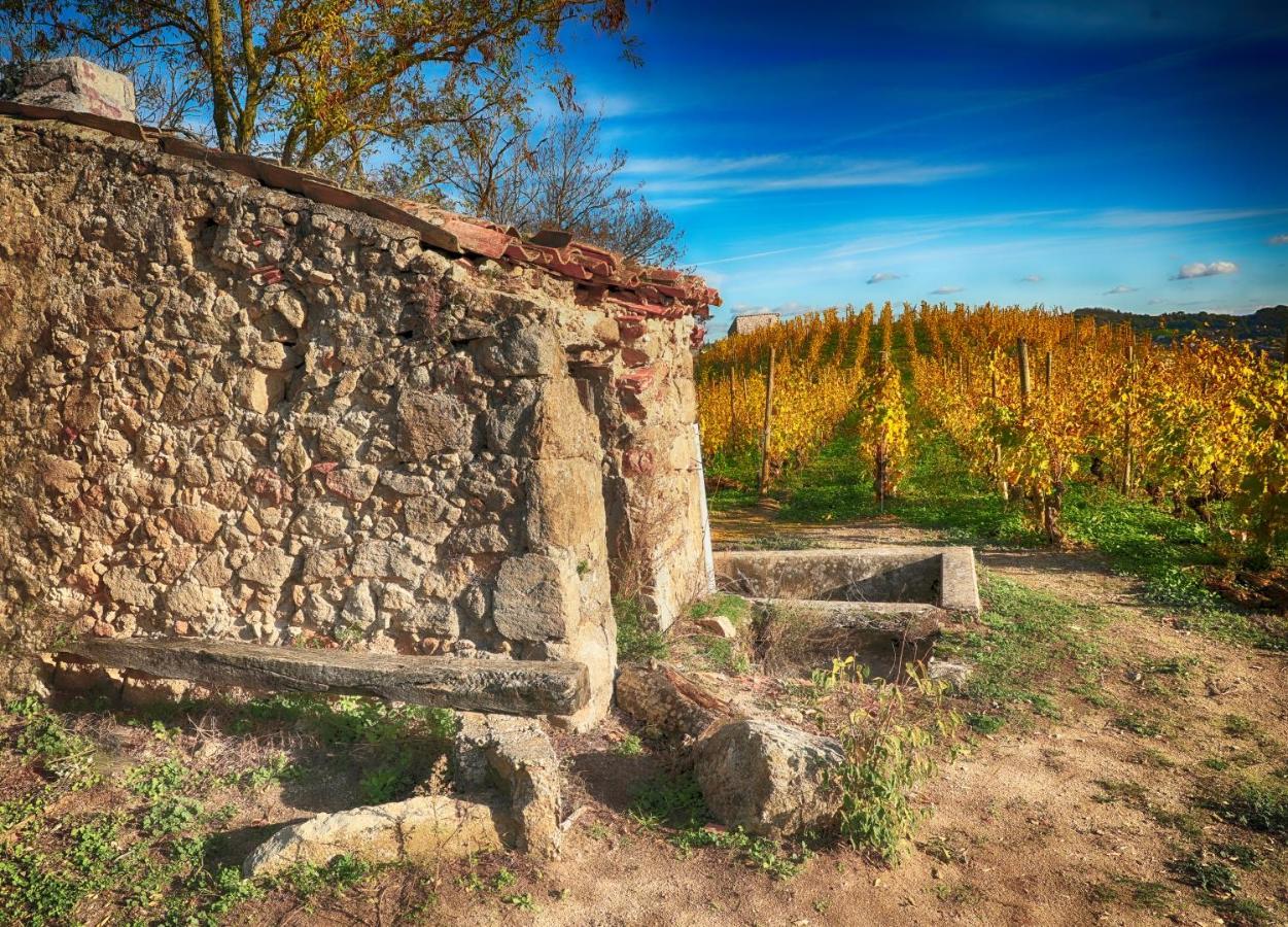 Condrieu Comme A La Maison Кондриё Экстерьер фото